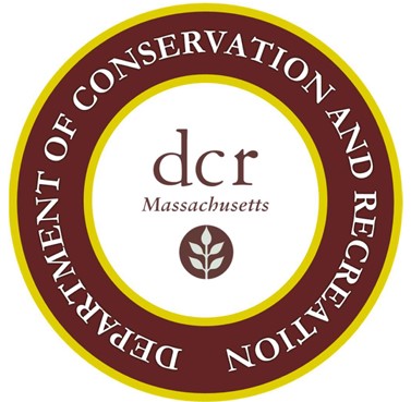 Mass_dcr.jpg logo